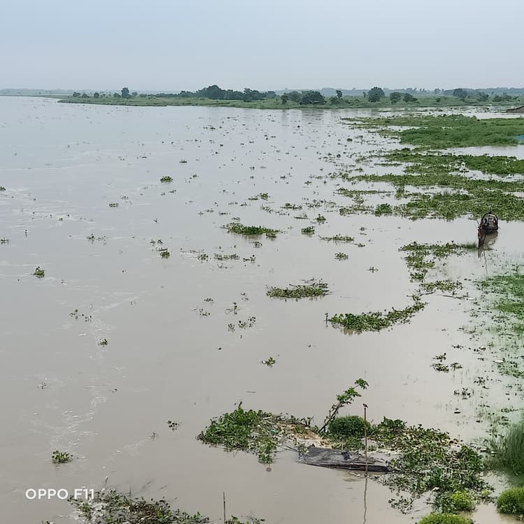 महानंदा का जलस्तर बढ़ने से बाढ़ की संभावना बढ़ी