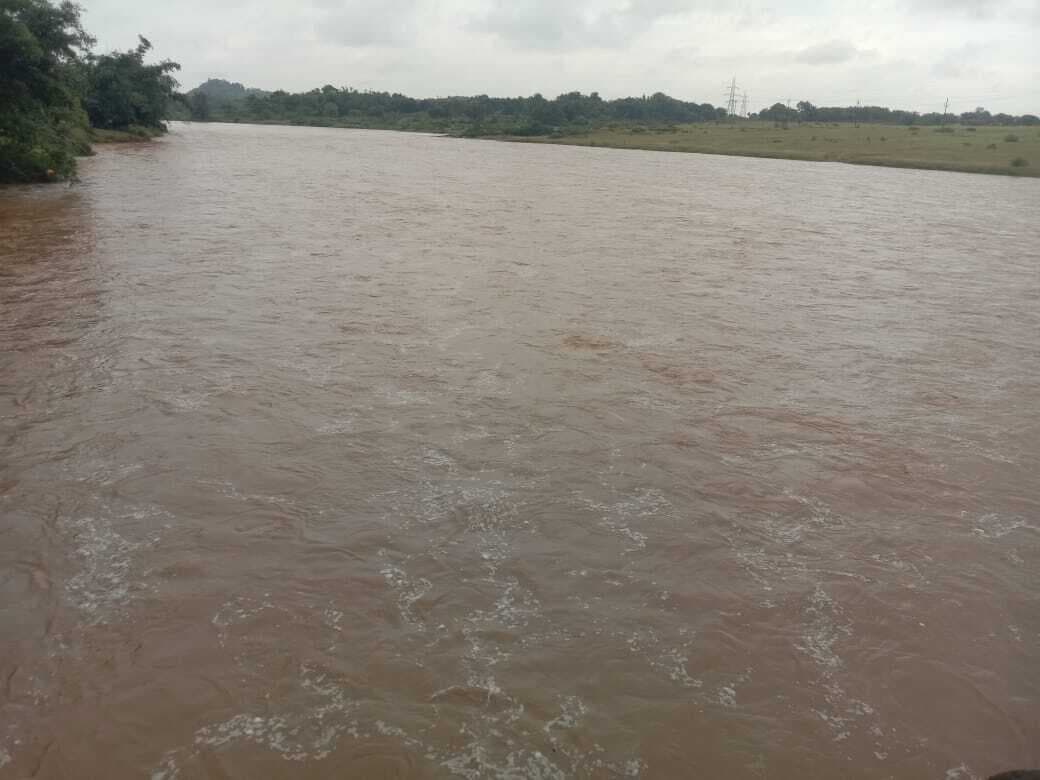 मूसलाधार बारिश से नदी उफान पर, किसान चिंतित