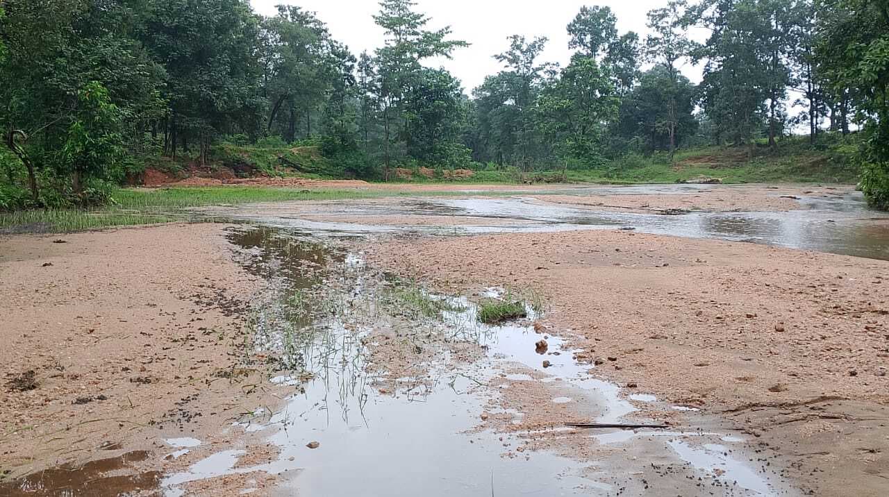 भारी बारिश से फसल बर्बाद, मुआवजा की मांग