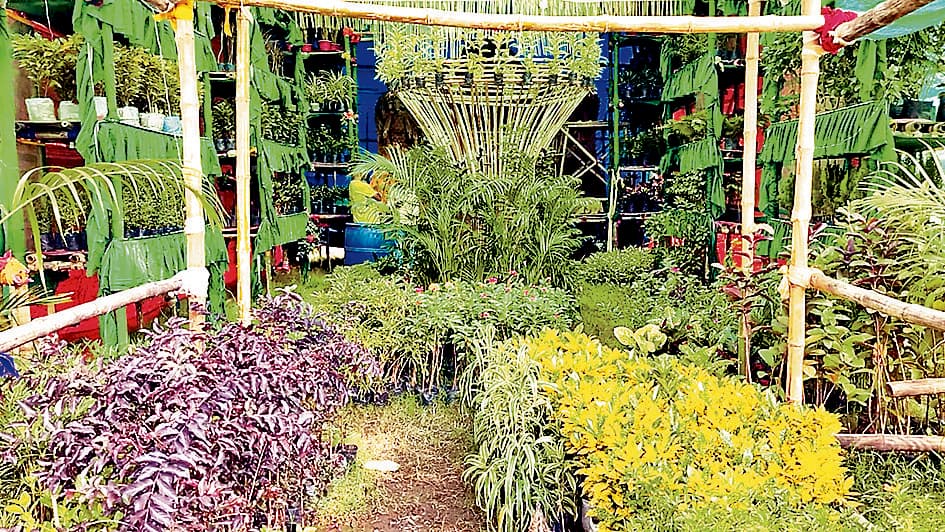 21 किस्म के 8000 पौधों से सज रहा पंडाल