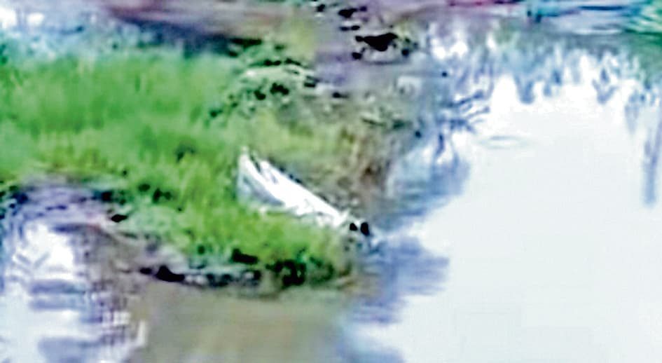 आदिवासी किशोरी का पांच टुकड़ों में बस्ते में मिला शव, शिक्षक गिरफ्तार, जांच में जुटी पुलिस