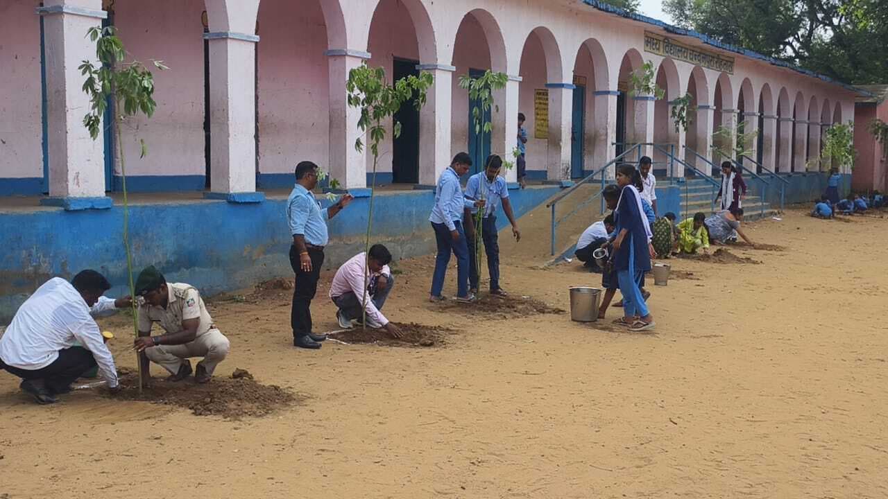 दो सौ पौधारोपण कर वन विभाग ने की सेवा पर्व की शुरुआत