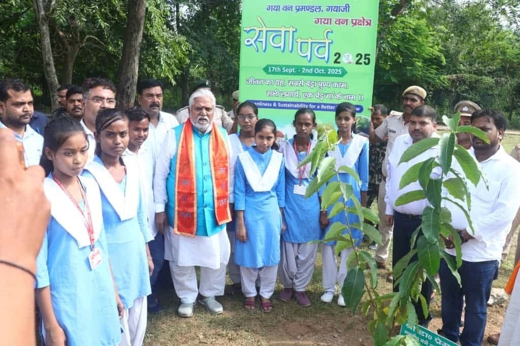 दो दिनों में लगाये गये 3000 पौधे