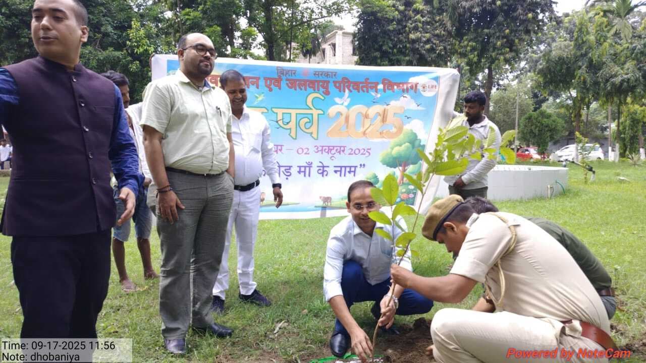 समाहरणालय परिसर में किया गया पौधरोपणो