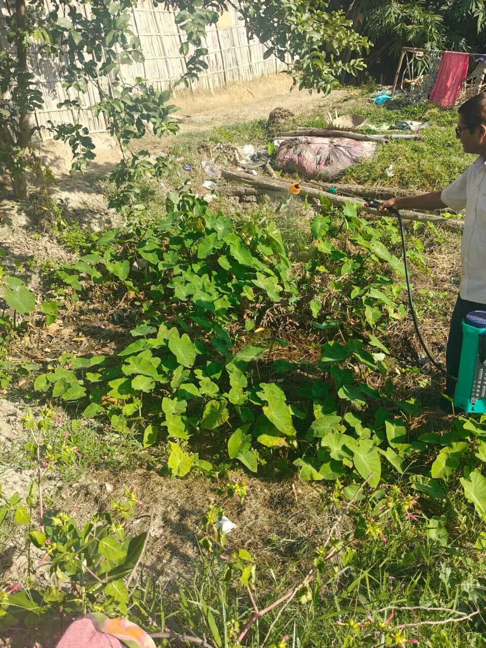 Madhubani News : डेंगू मरीजों की संख्या में इजाफा जारी, अभी तक 14 मरीज चिह्नित