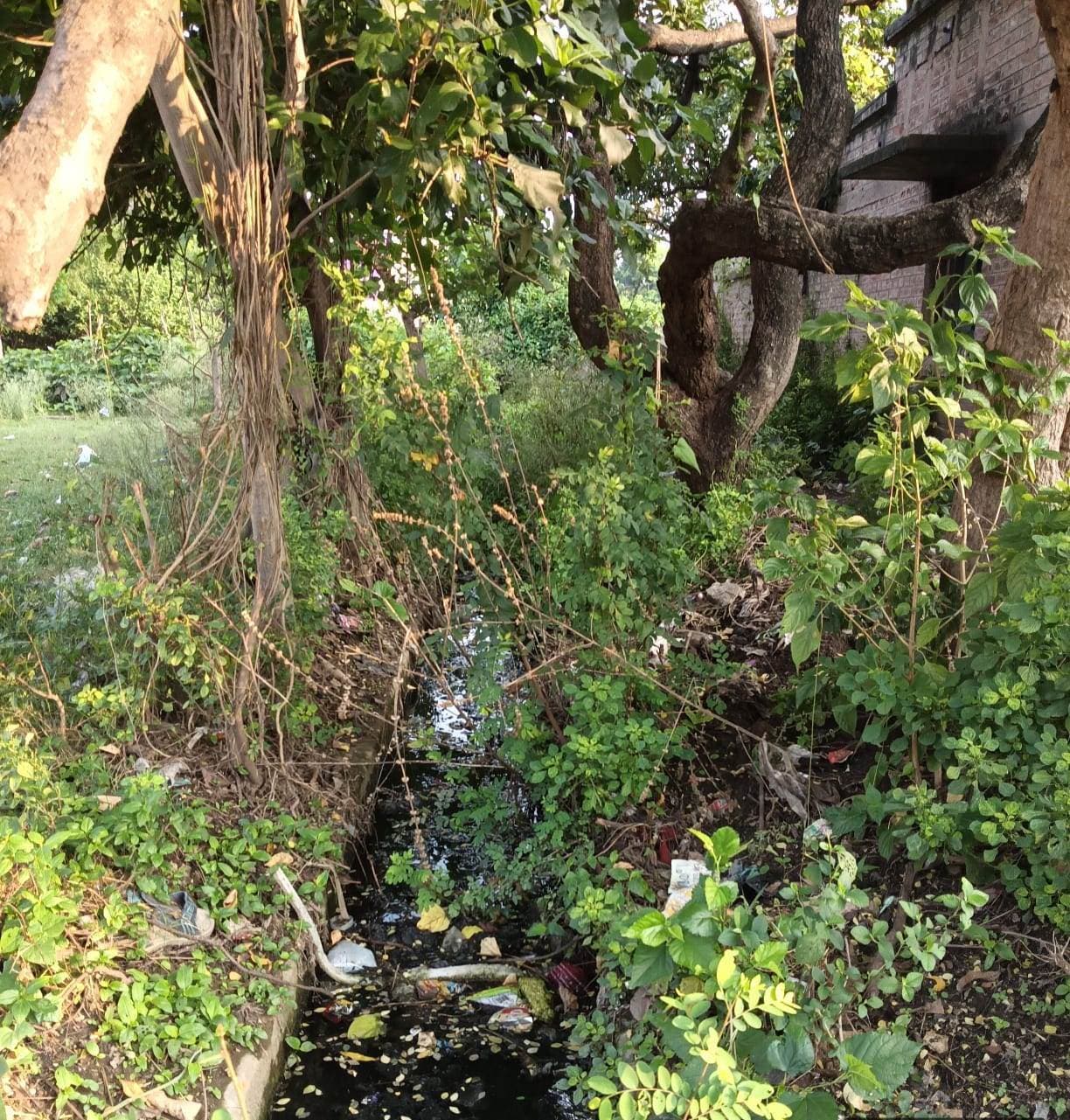 झाड़-झंखार के बीच जंगल जैसे परिवेश में रहने को विवश रेलकर्मी