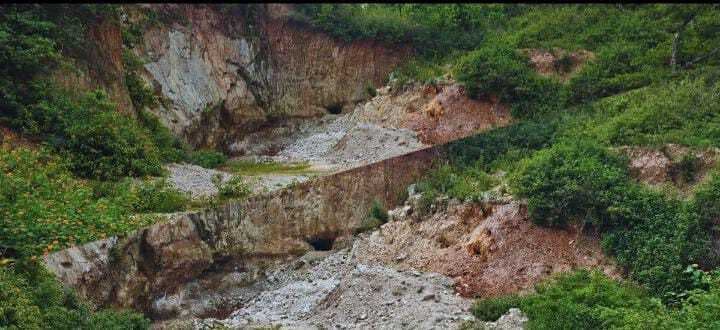 Giridih News :वन भूमि से धड़ल्ले से हो रही सफेद पत्थरों की तस्करी