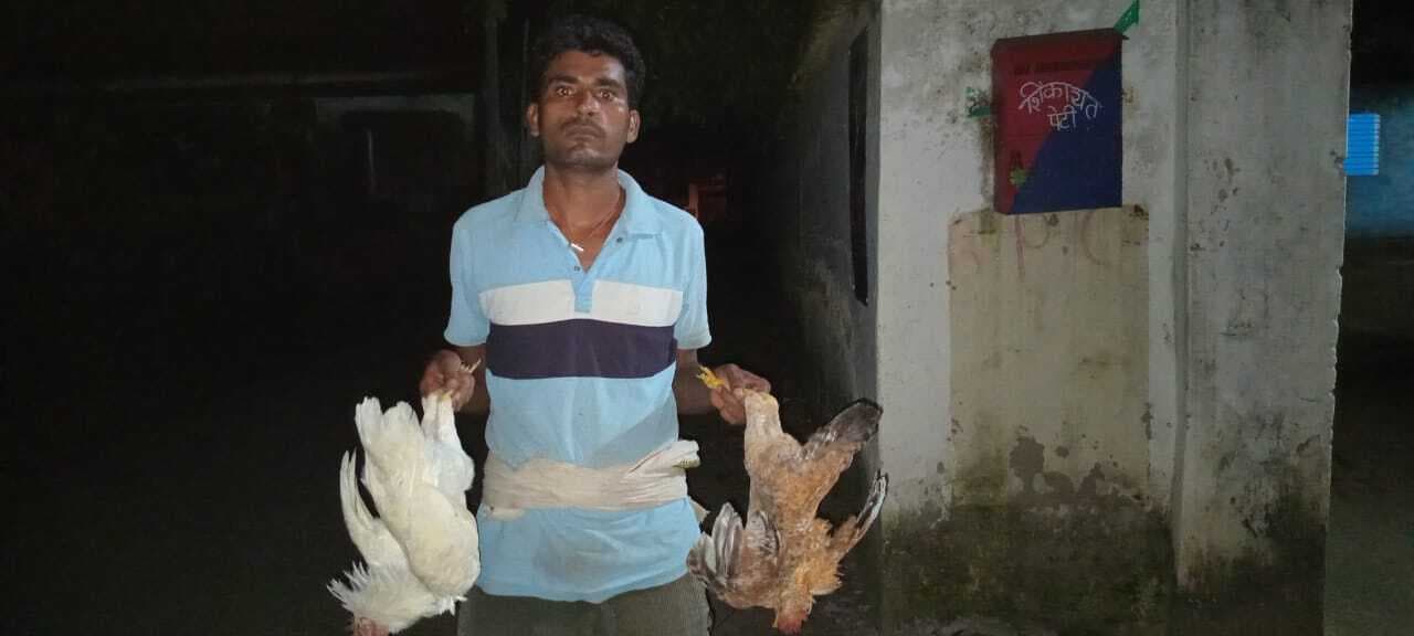 मुर्गा को जहर देकर मारने की शिकायत