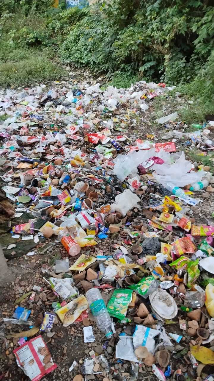 विद्यालय के गेट पर कचरे का अंबार, दुर्गंध से लोग परेशान