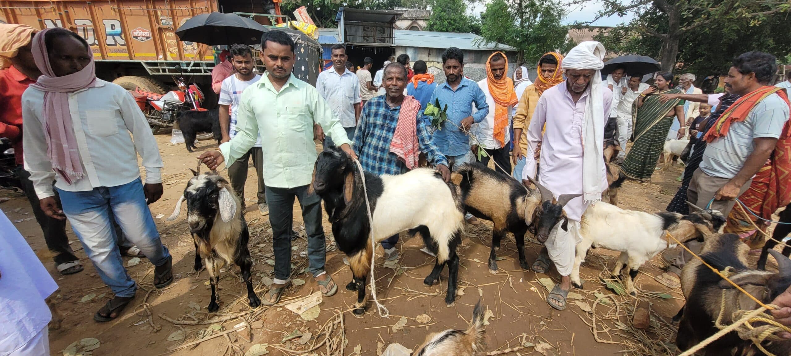 Deoghar news : मोहनपुर हाट में बकरे और घरेलू सामान की जोरदार खरीददारी, पांच करोड़ के कारोबार का अनुमान
