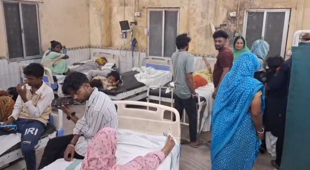 आवारा कुत्तों ने 15 लोगों पर किया हमला, आठ घायल