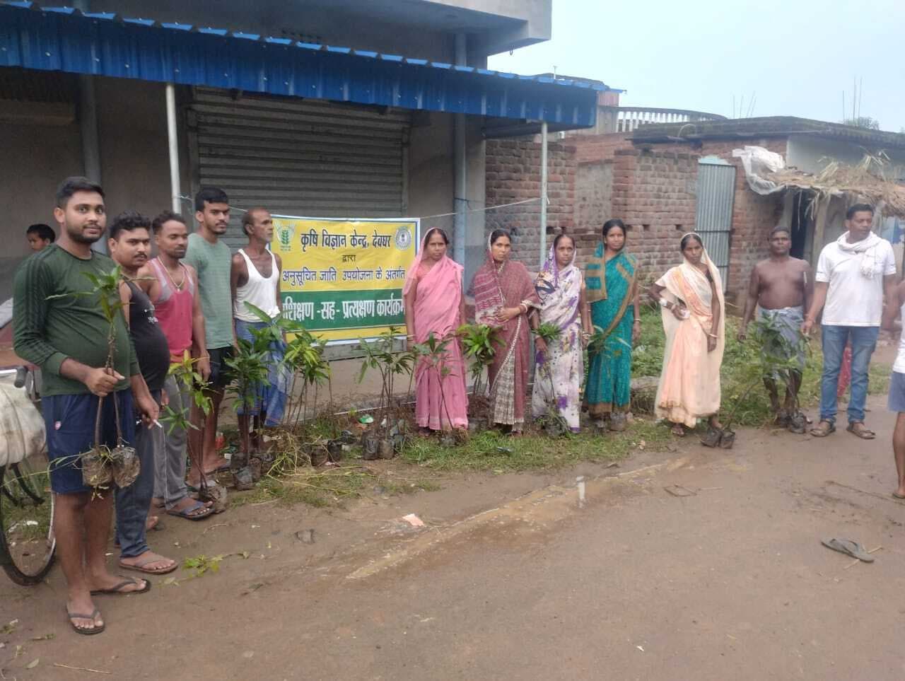 आम के पौधे का किया गया वितरण