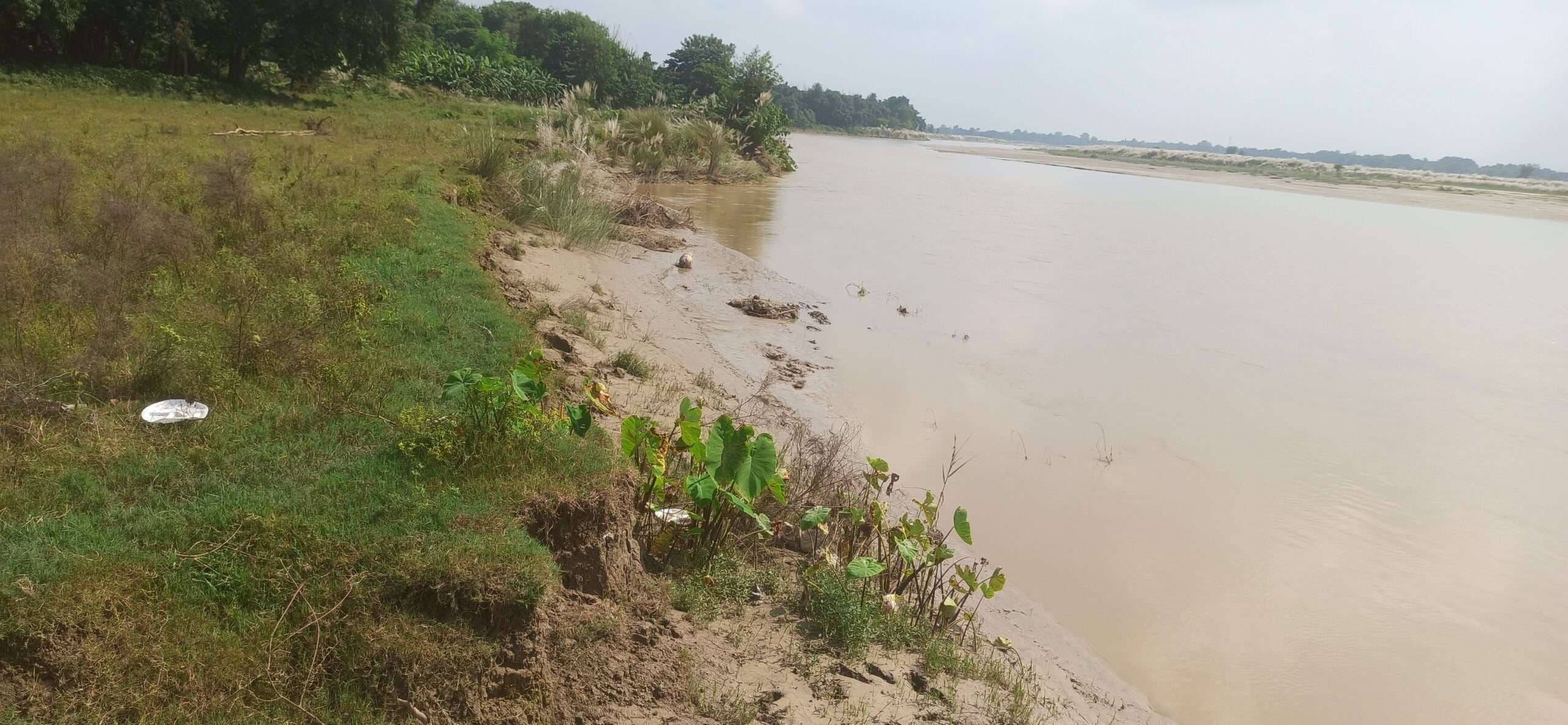 Madhubani News : कमला नदी की तेज धारा से कटाव जारी, ग्रामीण भयभीत