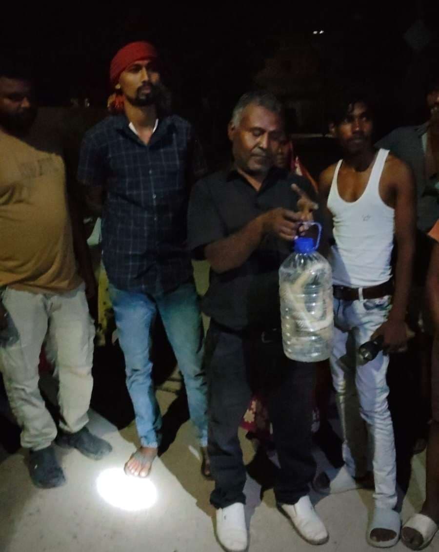 hajipur news. घर में घुसा कोबरा, आधी रात को सूचना मिलने पर डीएम ने भेजा कैचर