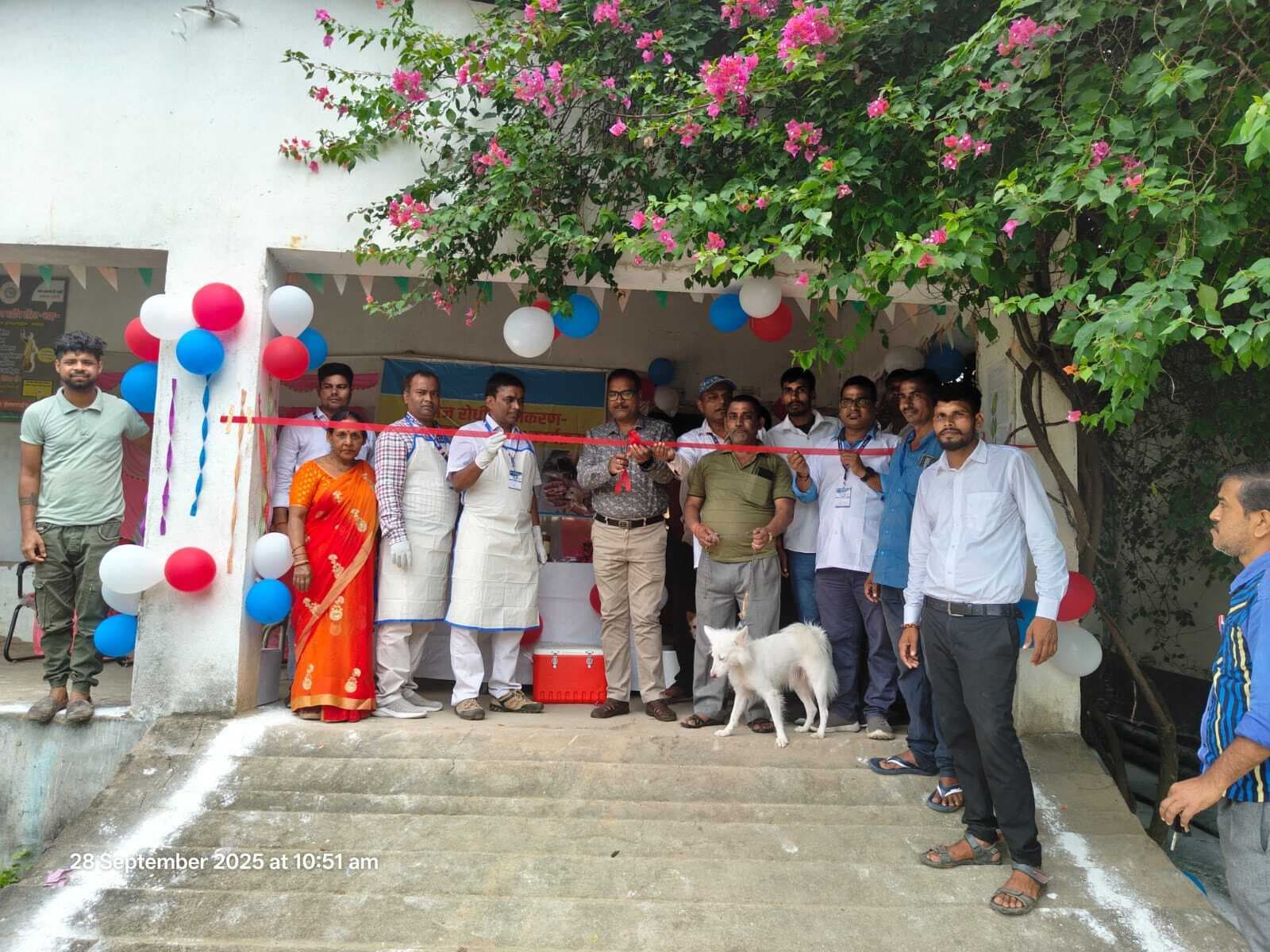 विश्व रेबीज दिवस पर रजौली में 100 श्वानों का टीकाकरण