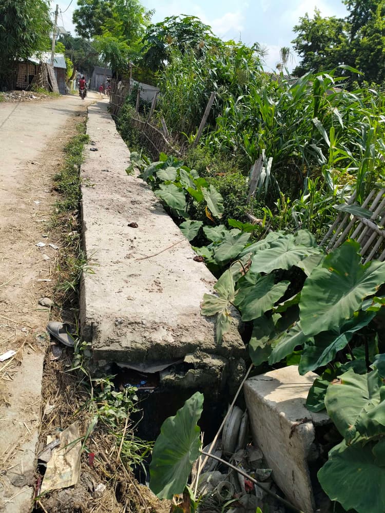 मधुरा पंचायत में बने नाले की निकासी बंद