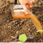 liquid organic fertilizer