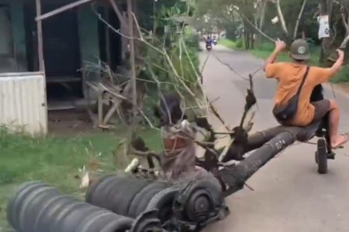 OMG: भाई ने पेड़ के तने से बना डाली धांसू बाइक, देखकर इंजीनियर के भी उड़ जाएंगे होश