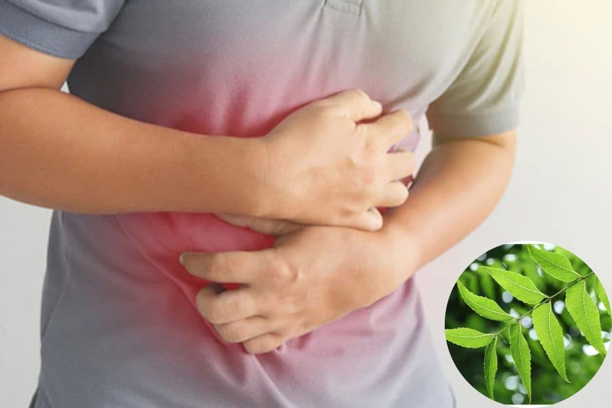 Stomach Cleaning Leaf: रात में अगर खा लिया ये एक पत्ता, तो सुबह पेट साफ होने में नहीं होगी कोई समस्या