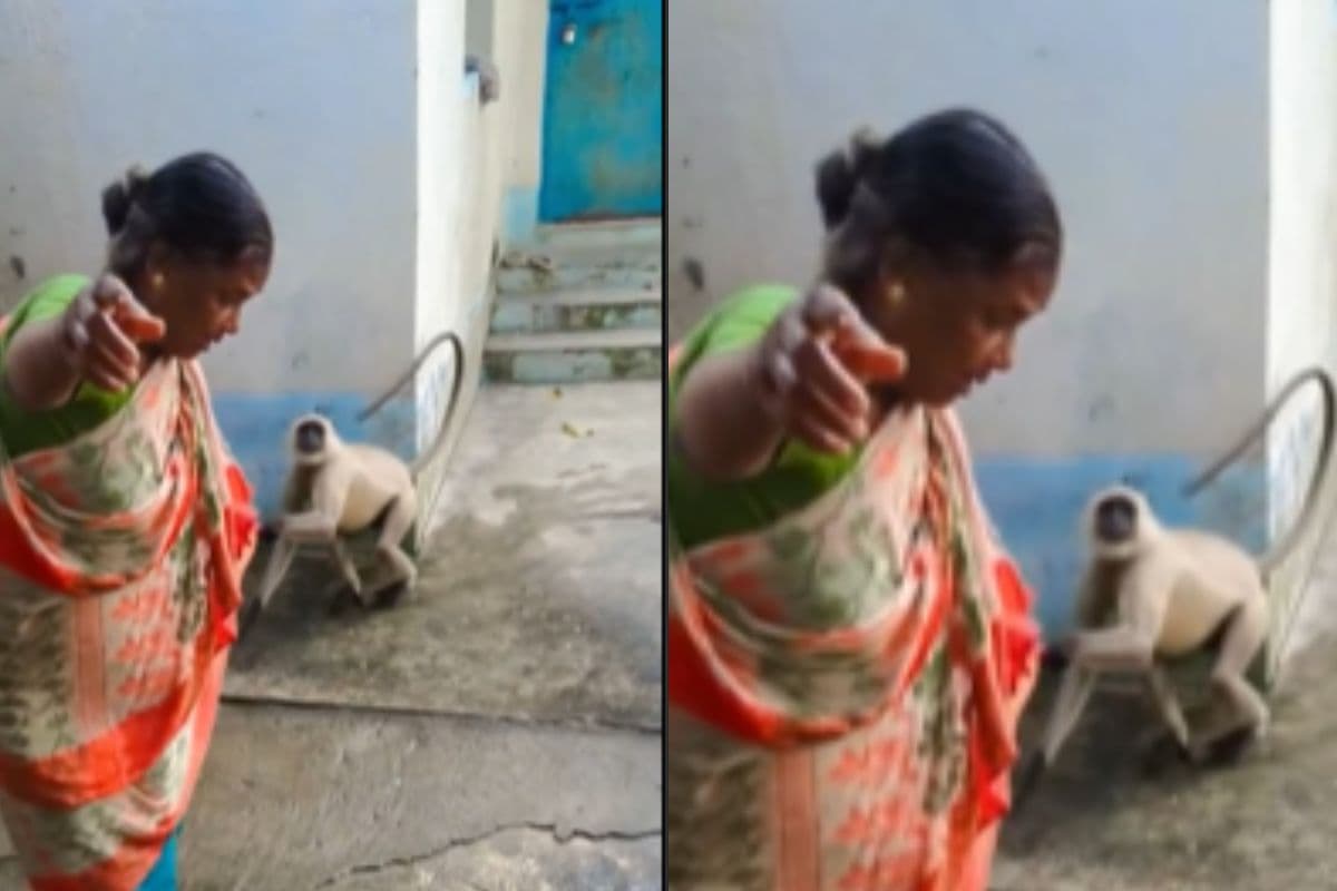 Viral Video: बंदर की पूंछ खींचना दादी को पड़ा महंगा, नन्हें शैतान ने ऐसे दौड़ाया कि साड़ी पकड़ भागती दिखीं बुजुर्ग अम्मा