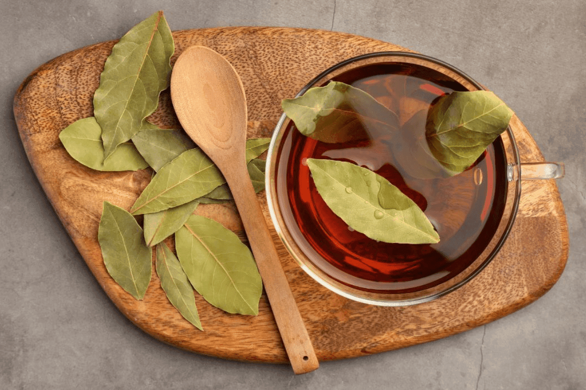 Bay Leaves: सर्दियों में पानी में तेजपत्ता उबालकर पीने से क्या होता है?