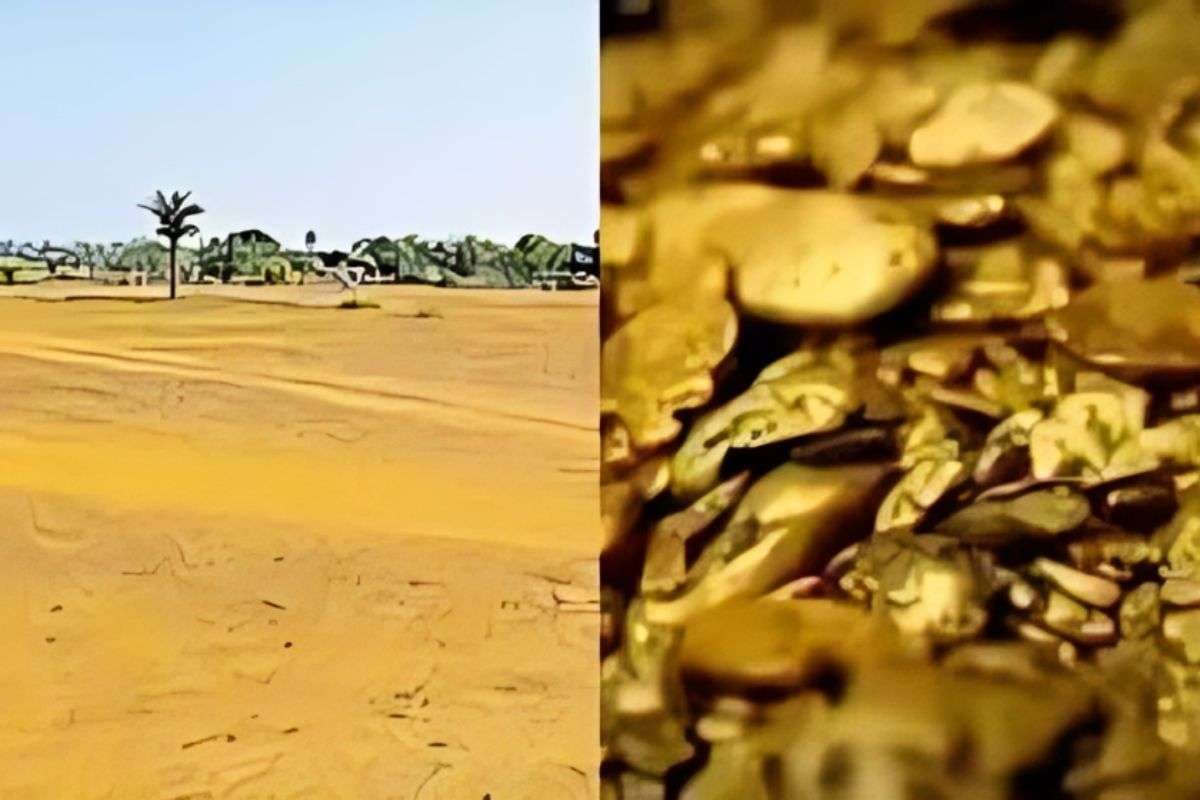 Bihar Gold Reserve: यूपी या कर्नाटक नहीं, बिहार बना ‘गोल्ड किंग’, जमुई की धरती में छिपा 222.8 मिलियन टन सोना