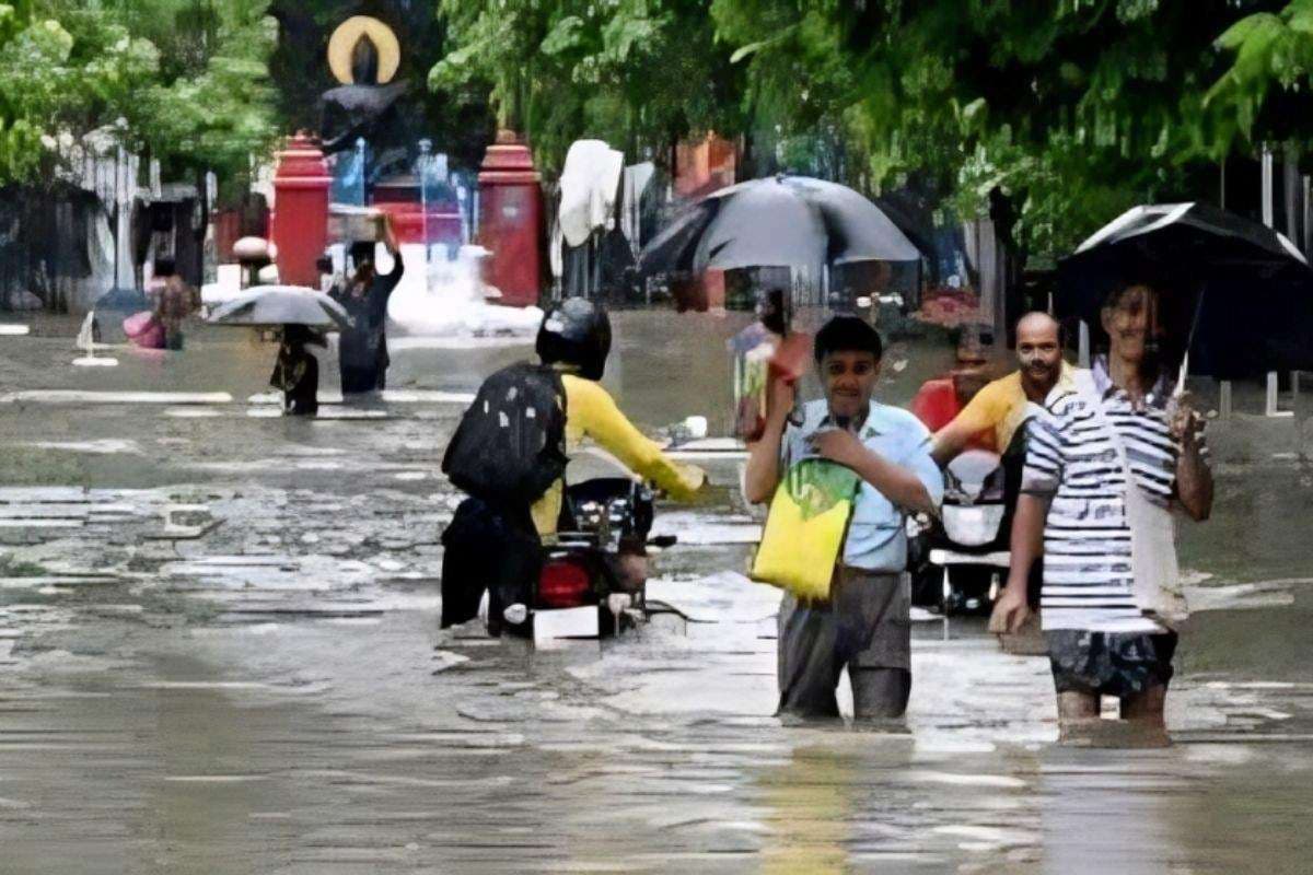 Bihar Flood: बिहार में बारिश से तबाही,24 घंटे की मूसलाधार बरसात से हाहाकार, स्कूल बंद, फसलें डूबीं, जनजीवन बेहाल