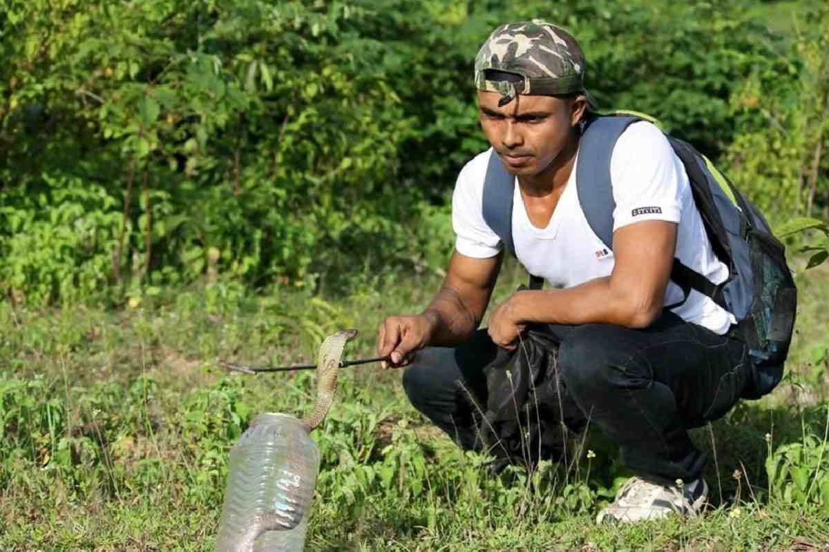 Snake Story : ये हैं 6 सबसे खतरनाक सांप, काटने के बाद मंडराने लगता है मौत का खतरा