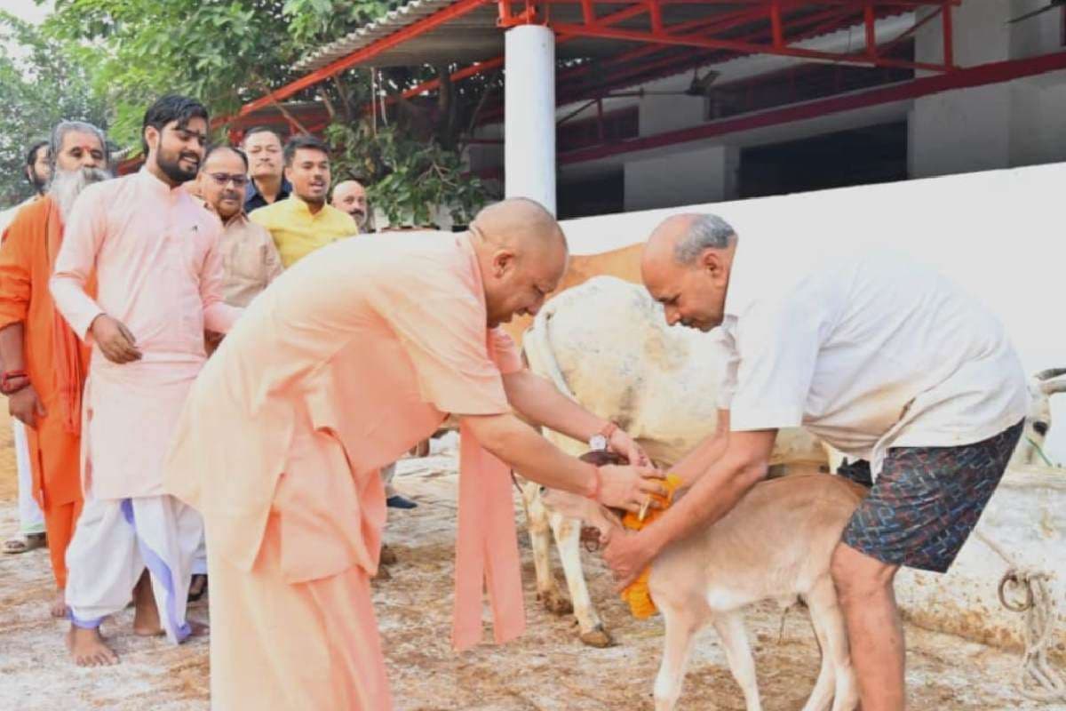 Govardhan Yojana : गोवर्धन योजना से बढ़ी किसानों की आमदनी, जानें तीन प्रमुख योजनाओं के बारे में