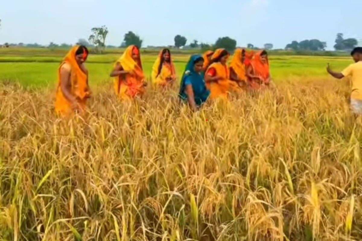 Chhath Puja 2025 Chhath Puja 2025