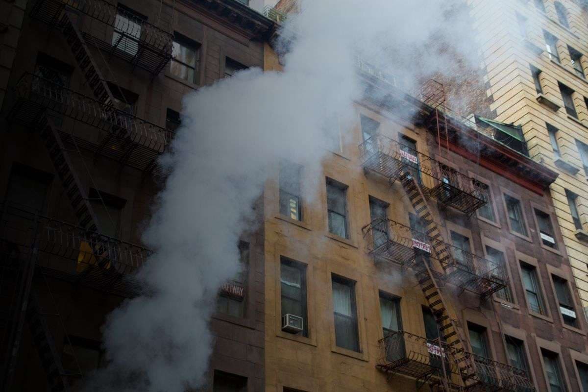 Cockroach Fire Apartment South Korea Death