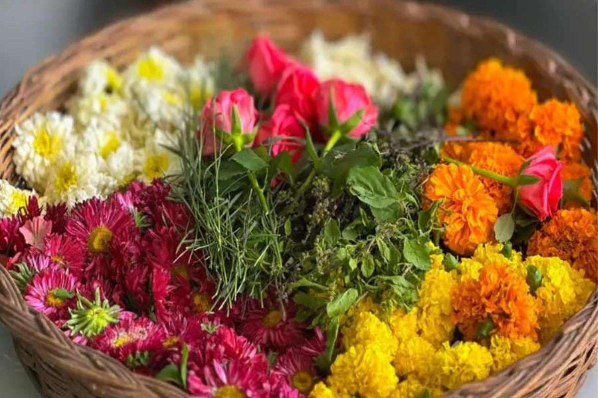 Compost From Waste Flowers: बासी फूल फेंकें नहीं, ऐसे बनाएं पौधों के लिए ऑर्गेनिक सुपर फूड खाद
