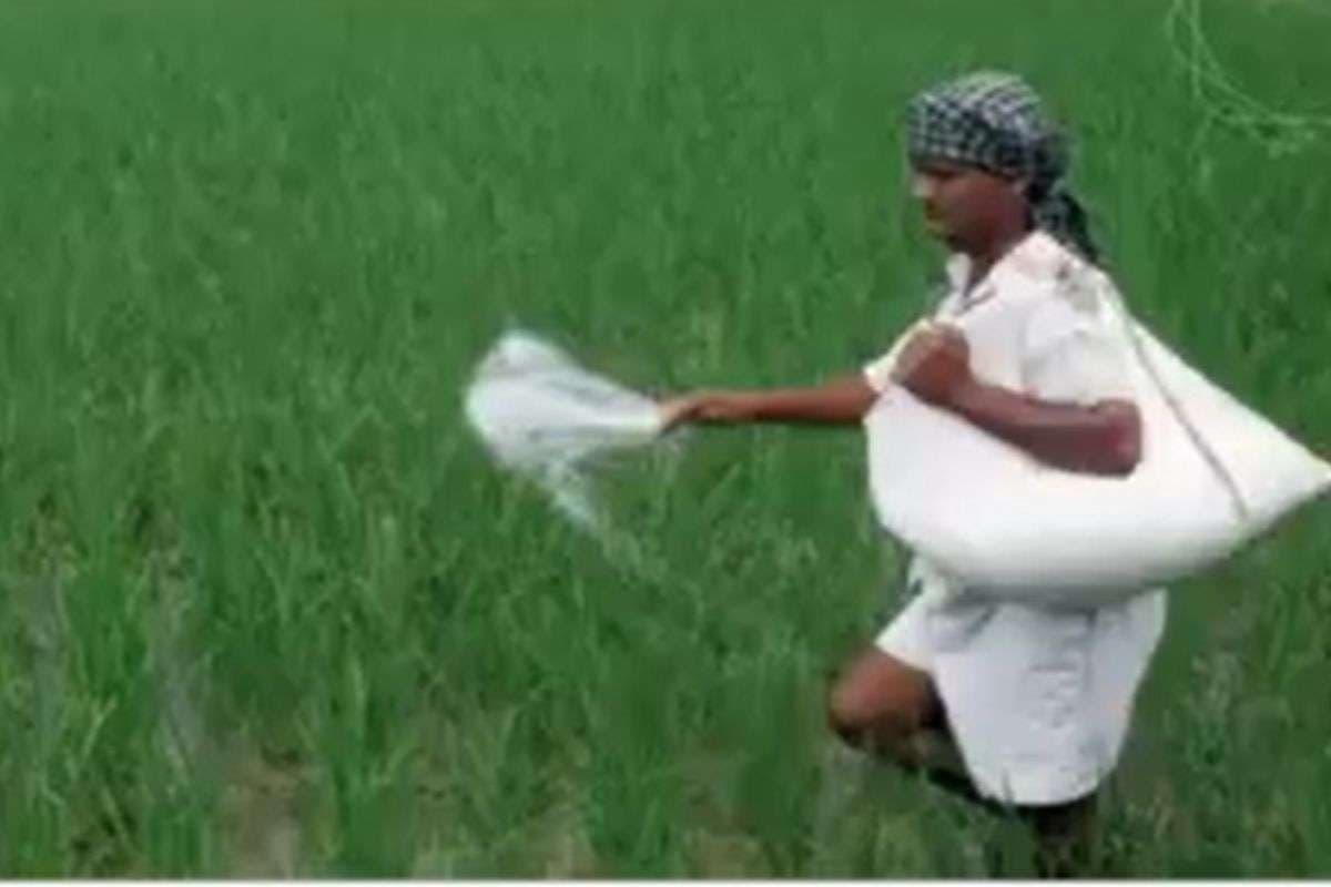 Fertilizers Subsidy: खाद पर 38 हजार करोड़ की सब्सिडी को मंजूरी, मोदी सरकार ने किसानों को दिया तोहफा