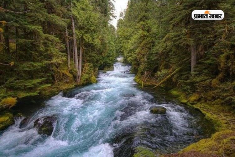 भारत के किस राज्य में बहती हैं 17 नदियां, नहीं जानते होंगे आप