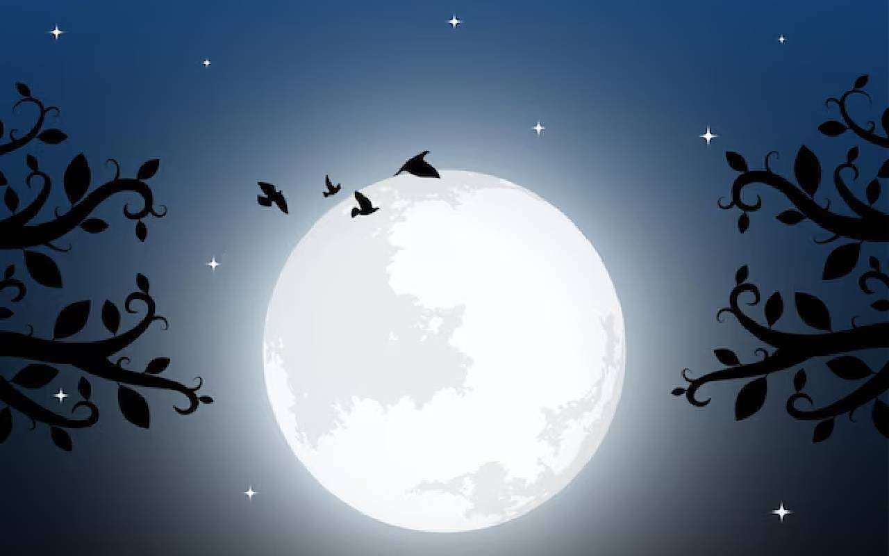 Happy Sharad Purnima 2025 Wishes: खीर की मिठास, जीवन को समृद्धि … यहां से भेजें शरद पूर्णिमा की बधाई