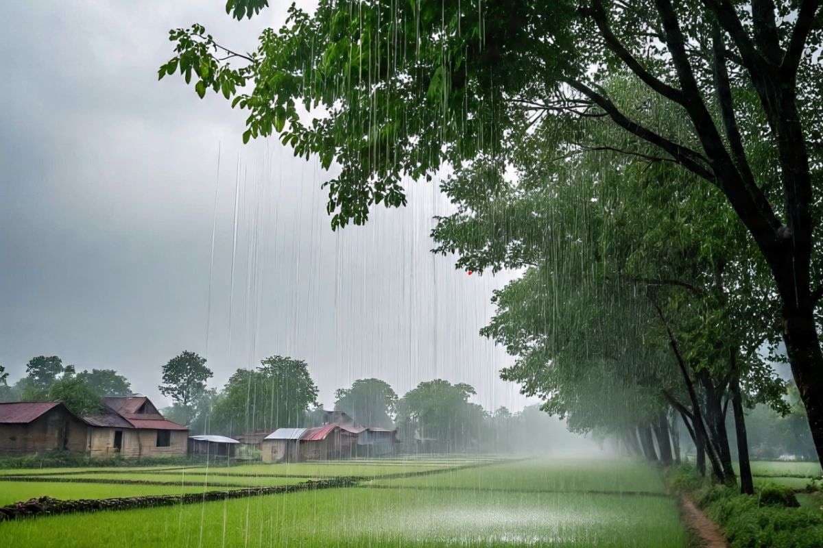 आज से झारखंड में फिर शुरू होगा बारिश का दौर, इस दिन इन 4 जिलों में अति भारी वर्षा की चेतावनी