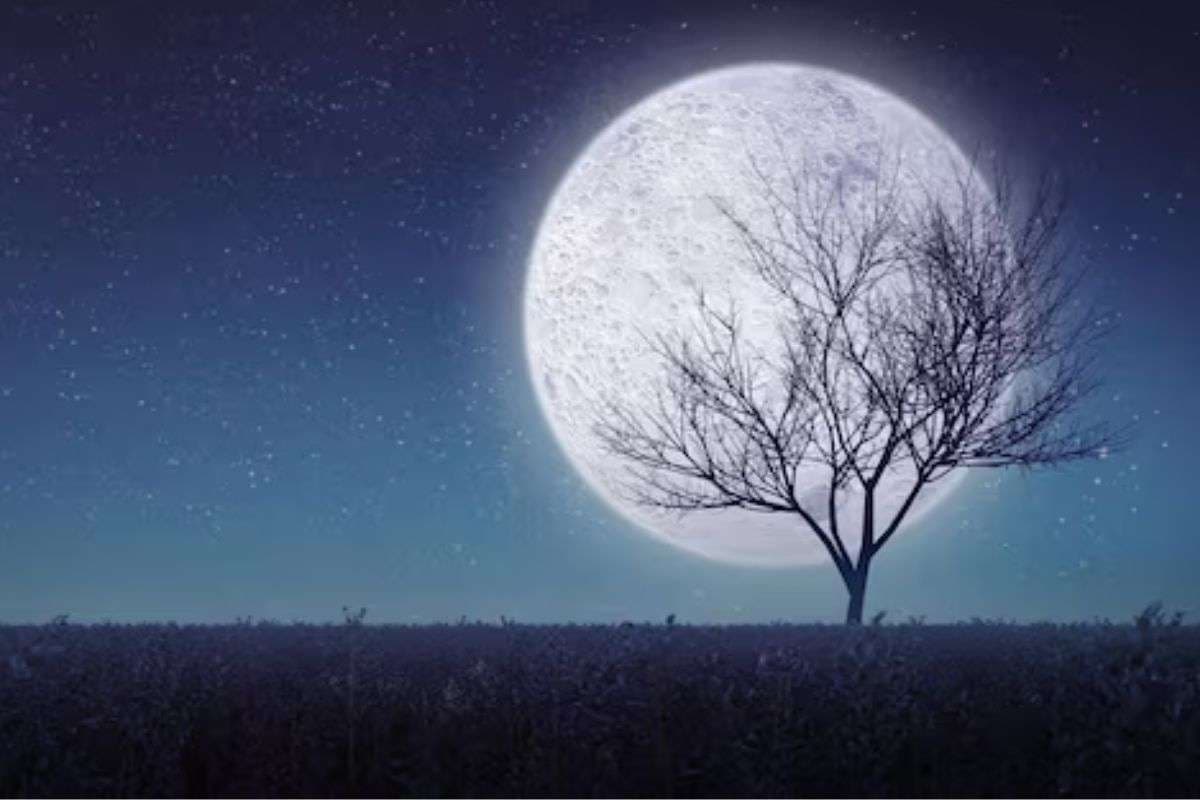 Kartik Purnima 2025: कार्तिक पूर्णिमा पर करें इस समय स्नान, जानें सही तिथि और शुभ समय