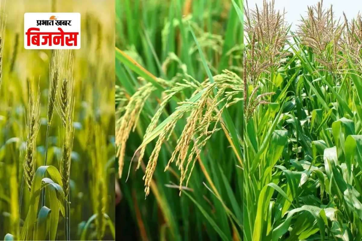 सरकार ने रबी सीजन का MSP बढ़ाया, किसानों को फायदा, महंगाई स्थिर रहेगी