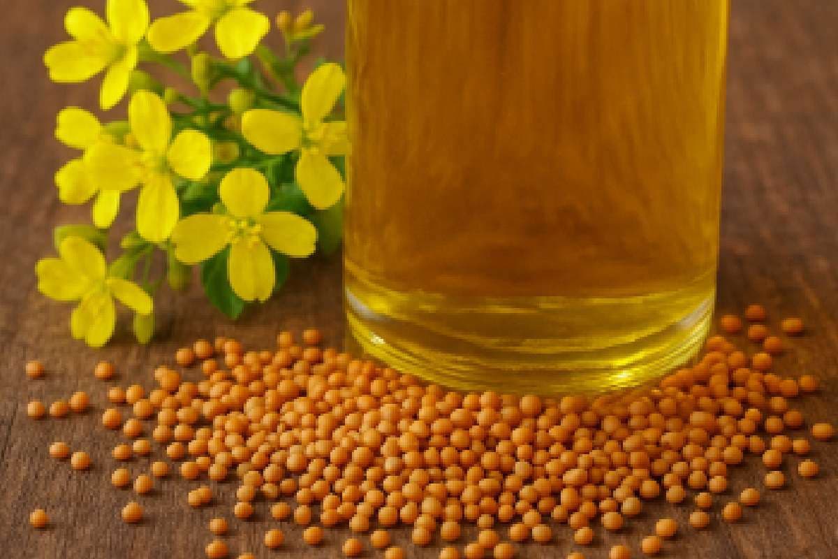 Mustard Oil : त्योहार के मौसम में सरसो तेल हुआ सस्ता, यहां जानें अन्य तेल की कीमत