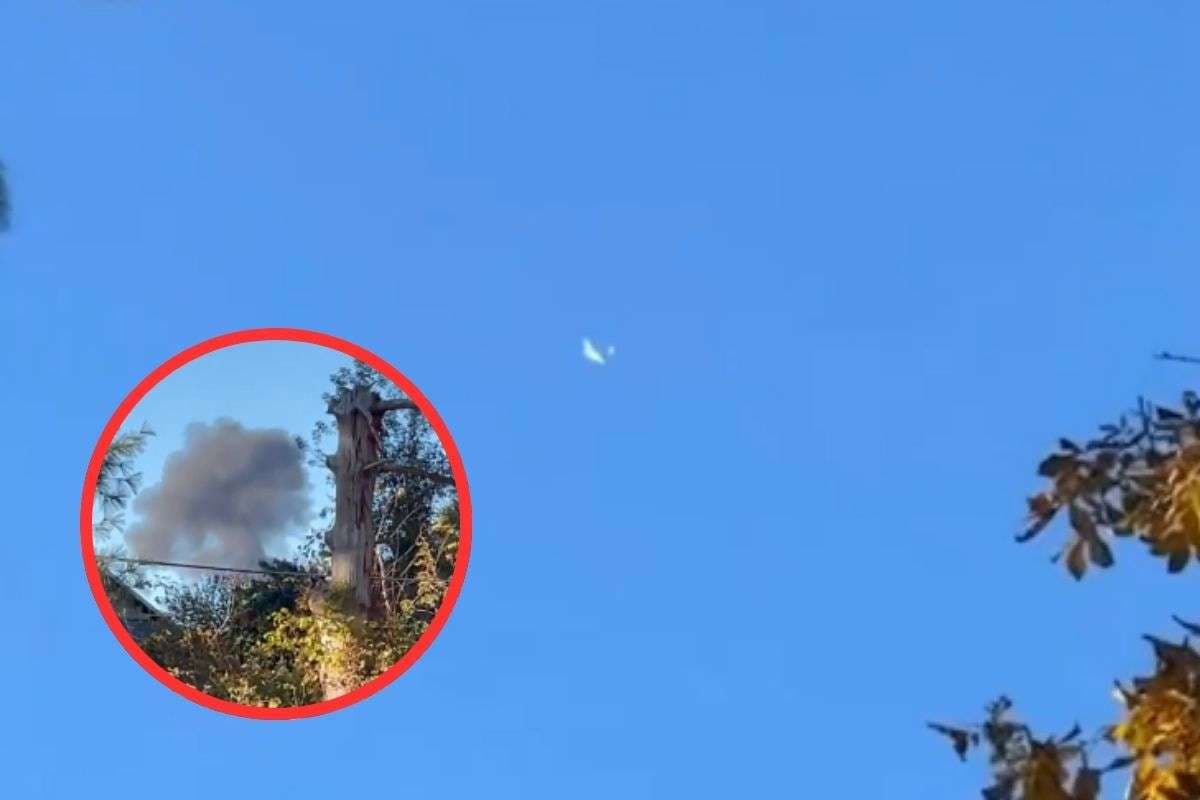 Plane Crashed : आसमान से पत्ते की तरह गिरा विमान, 3 की मौत, भयावह वीडियो आया सामने