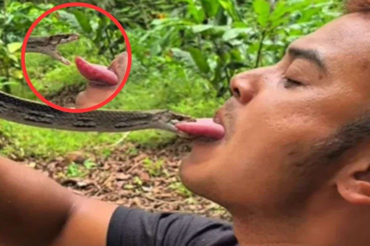 Viral Video : सांप से खिलवाड़ के चक्कर में हो गया कांड, वीडियो देख सब हैरान