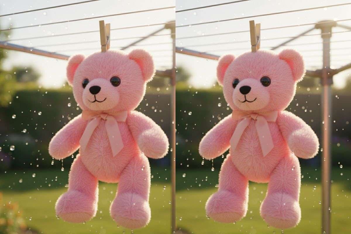 drying teddy bears