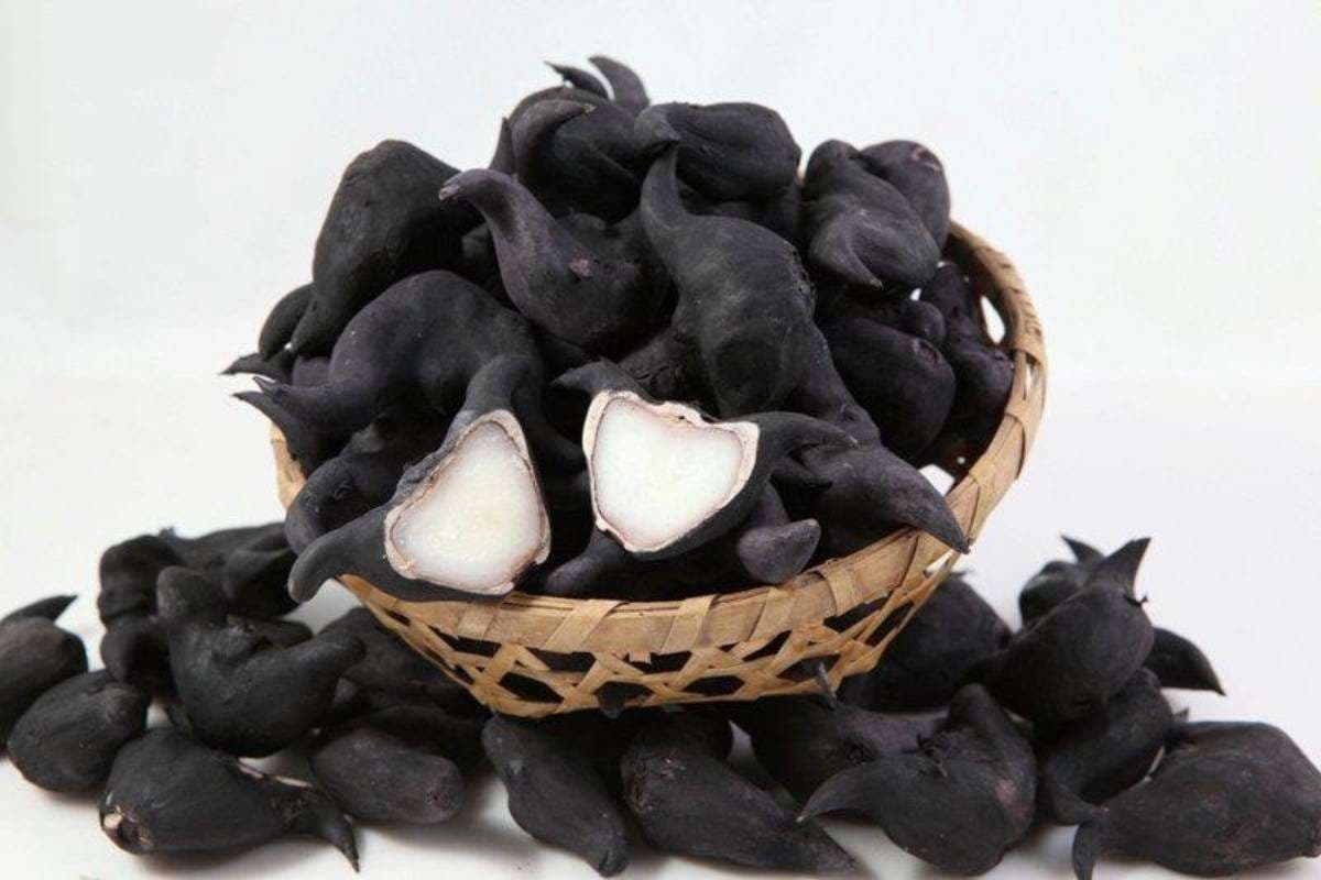 Water Chestnut Benefits: सर्दियों में जरूर खाएं सिंघाड़ा, मखाने से भी ज्यादा फायदेमंद है ये फल