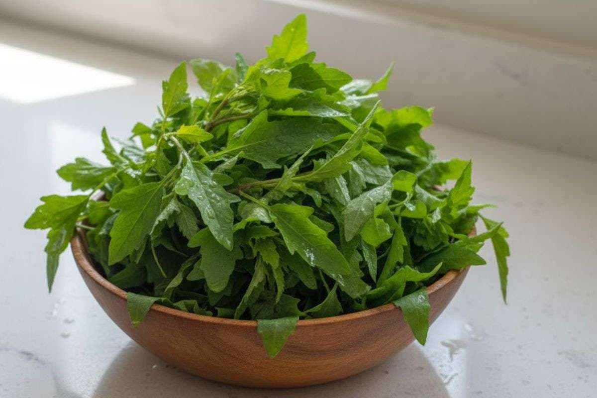 bathua leaves