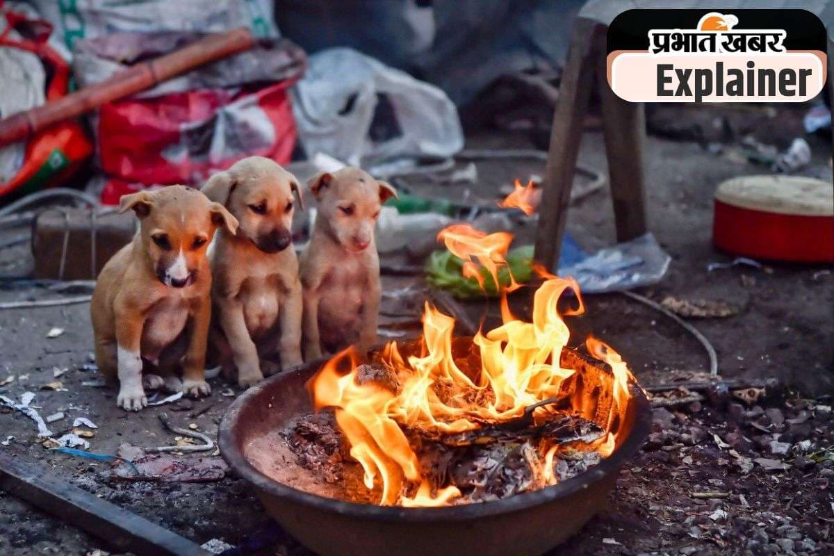 Colder Winter 2025 : क्या इस बार देश में पड़ेगी हाड़ कंपाने वाली ठंड? जानिए, ला लीना के प्रभाव से क्या होता है फायदा और नुकसान