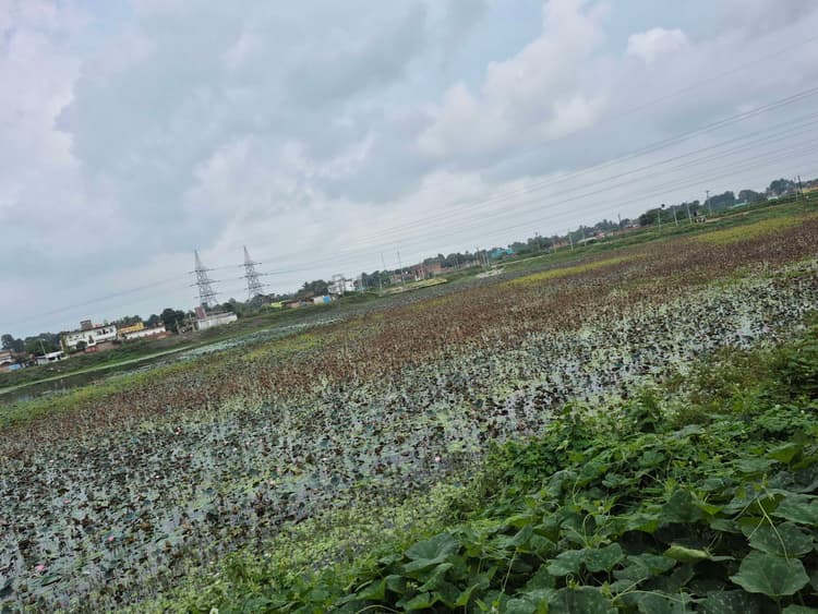 वृत्ताकार ग्लास ब्रिज मत्स्यगंधा झील को लगायेगा चार चांद