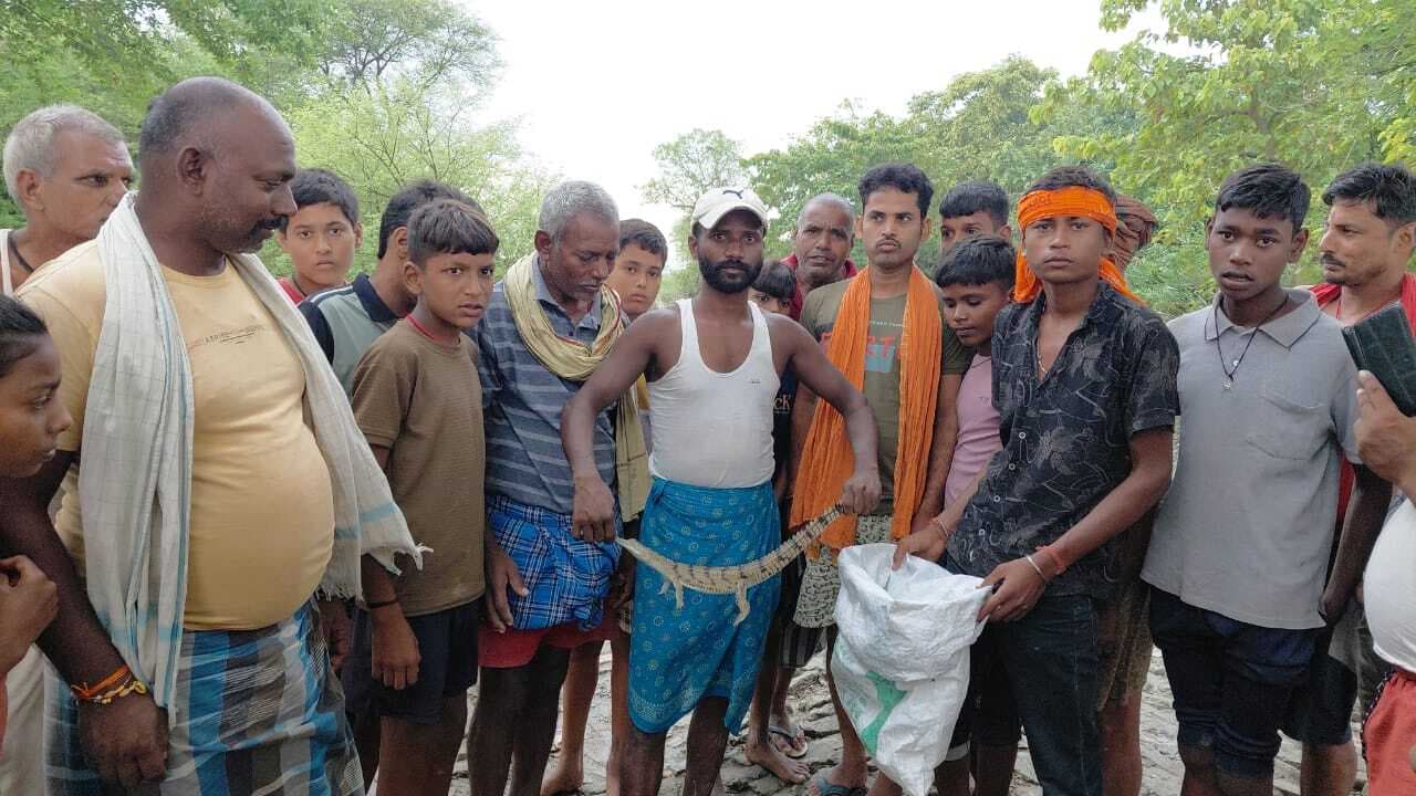 मछुआरों के जाल में फंसा घड़ियाल का बच्चा, वन विभाग को सौंपा