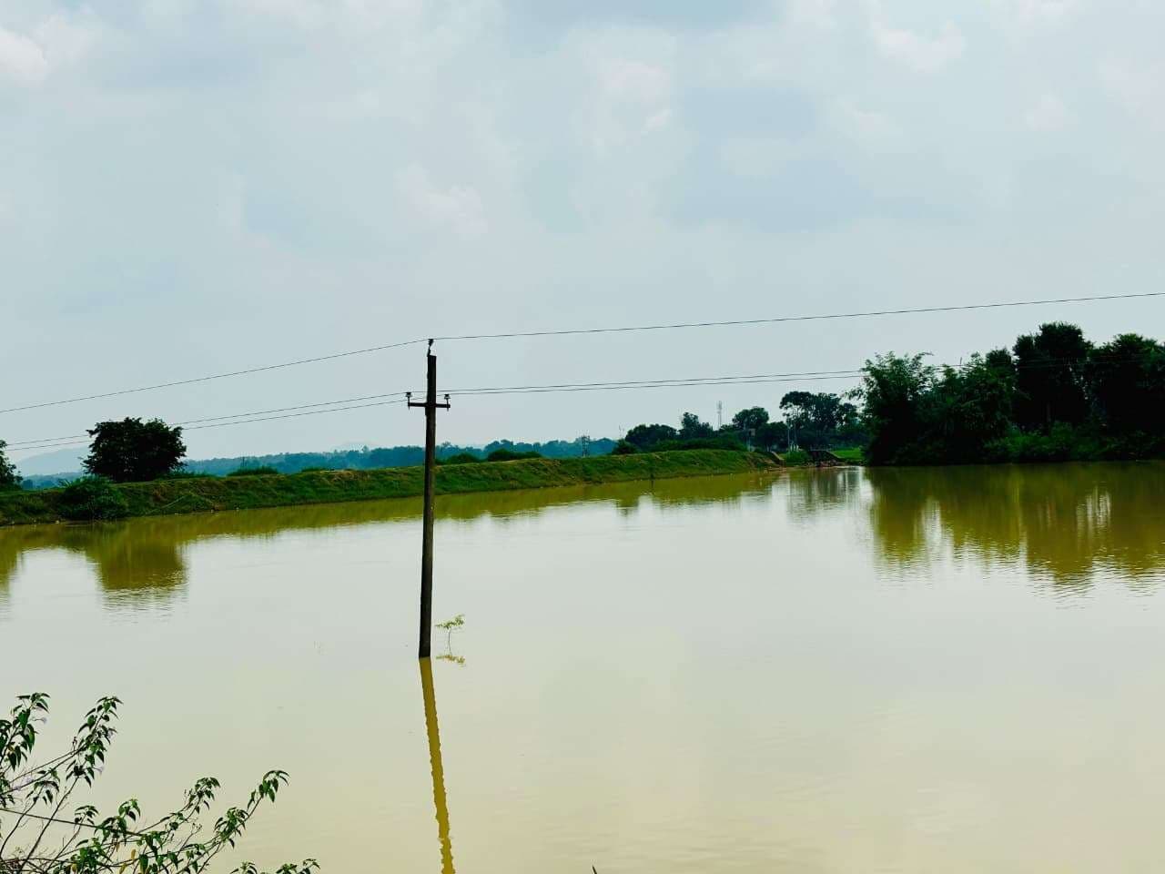 केंदुआटांड़ तालाब से गुजरे हाइटेंशन तार से हादसे का खतरा