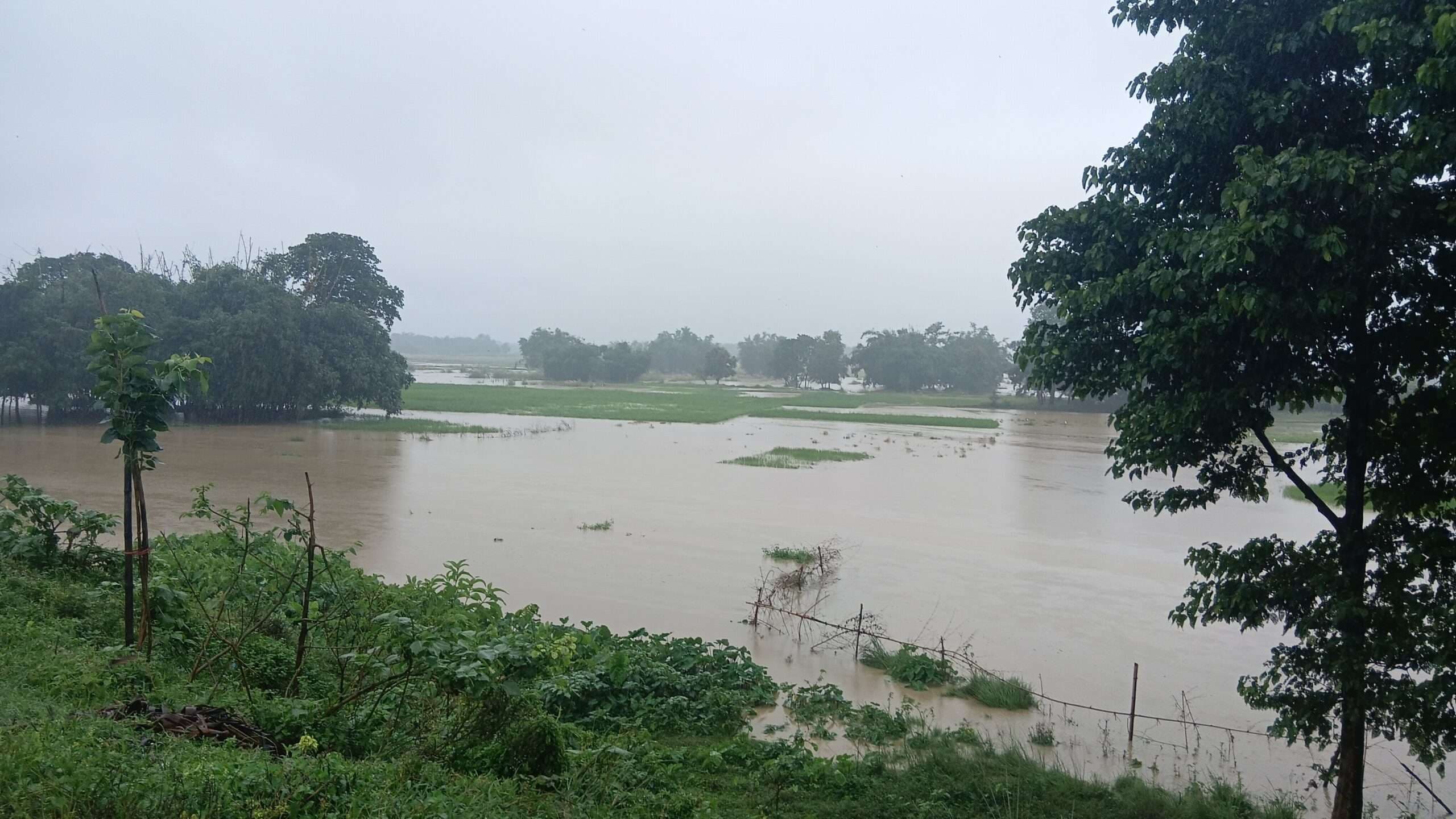 Madhubani News : कमला नदी का बढ़ रहा जलस्तर, तटबंध में बना रेनकट