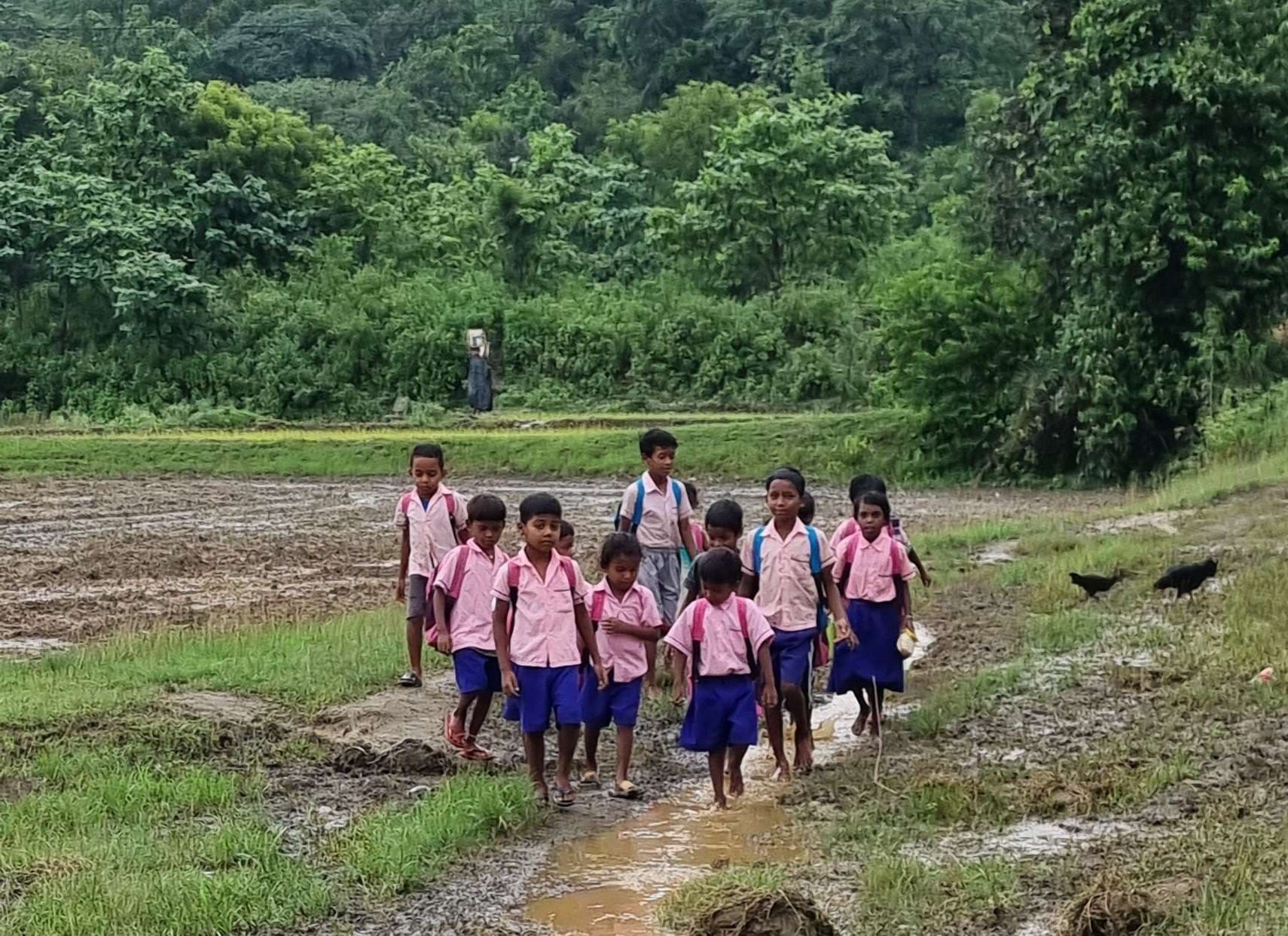 Seraikela kharsawan News : स्कूल तक कीचड़ भरे रास्ते से गुजरते हैं बच्चे